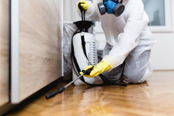 Best Rat Extermination Near Me  in Kansas City, KS