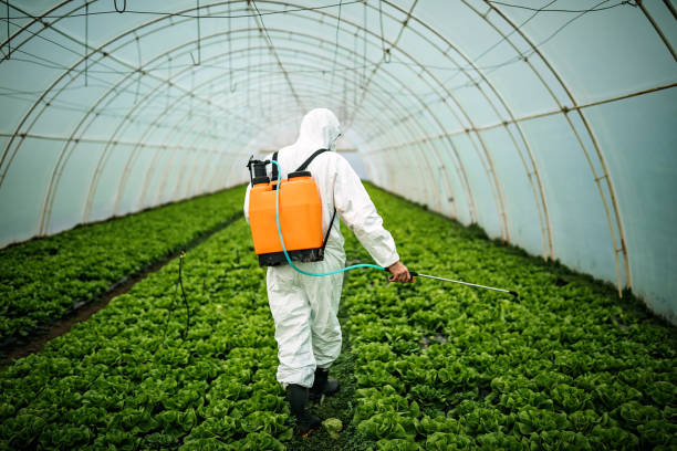 Best Affordable Pest Control Services  in Kansas City, KS